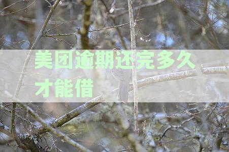 美团逾期还完多久才能借