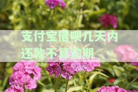 支付宝借呗还款宽限期是几天？逾期还款是否会影响个人信用记录？