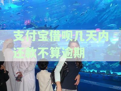 支付宝借呗几天内还款不算逾期吧：解决办法与建议