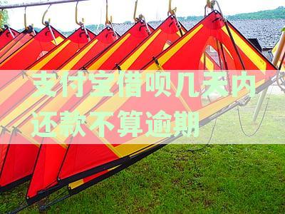 支付宝借呗还款周期与逾期风险分析