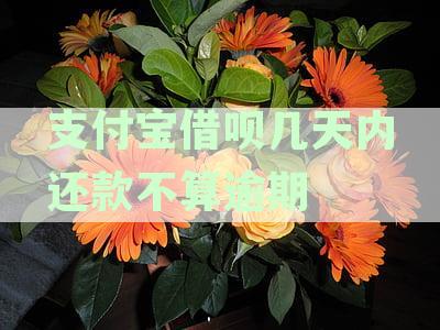 支付宝借呗还款日过后的余期计算方法及影响：如何避免逾期和利息费用？