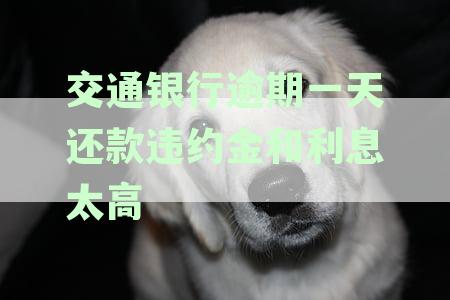 交通银行逾期还款违约金和利息高昂？了解详细计算方法和解决策略！