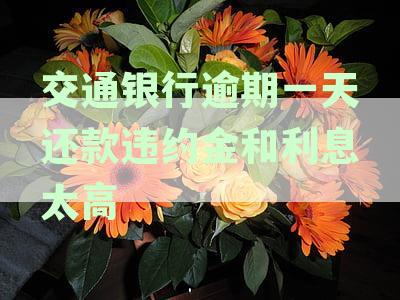 交通银行逾期一天还款违约金和利息太高