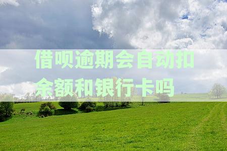 借呗逾期后，会自动扣除余额和银行卡吗？如何避免逾期还款导致资金损失？