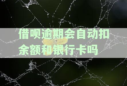 借呗逾期会自动扣余额和银行卡吗