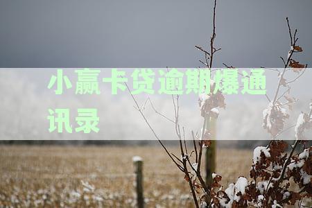 小赢卡贷逾期还款后果与通讯录泄露风险：全面解析与预防策略