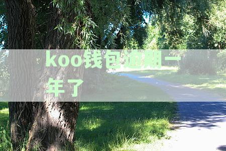 koo钱包逾期还款利息增加可能性及其对用户的影响分析
