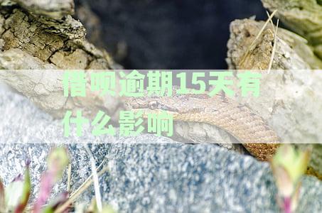 借呗逾期15天的影响：上征信、信用评分下降以及其他可能的后果