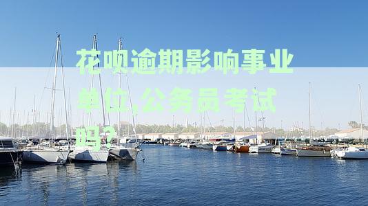 花呗逾期影响事业单位和公务员考试，是否产生影响？
