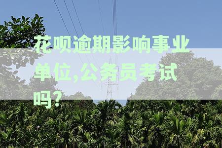 花呗逾期会影响公务员考试吗？如何解决逾期问题以避免影响考试？