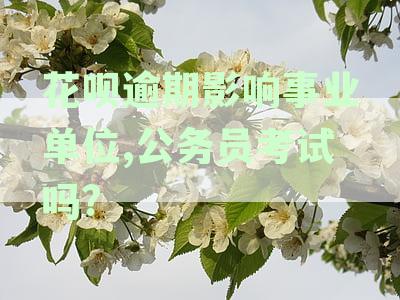 花呗逾期会影响公务员政审吗，现在？