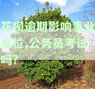 支付宝花呗逾期对未来公务员招聘政审的影响分析
