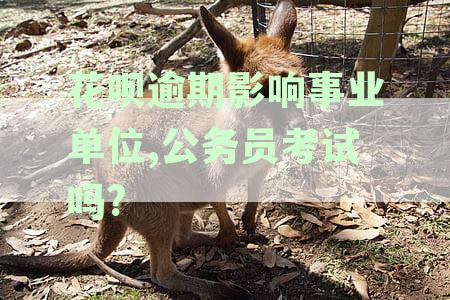 花呗逾期影响事业单位,公务员考试吗?