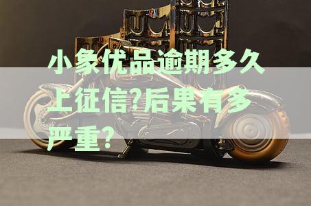 小象优品逾期多久上征信后果有多严重，逾期多久会被起诉。