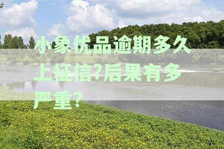 小象优品逾期还款会影响个人征信吗？