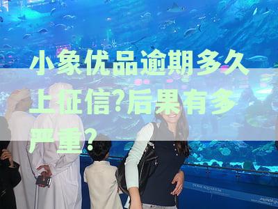 小象优品逾期处理方式及协商电话，您想知道吗？