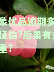 小象优品逾期还款时间限制及可能的法律后果分析