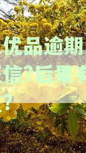 小象优品逾期后，借款资格是否受限？再次借款的相关政策和流程详解