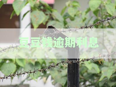 豆豆钱逾期利息计算与上征信问题：两天逾期6000变12000的合理性