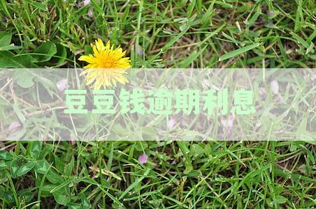 豆豆钱是否支持24期还款？如何协商期还款？了解详细操作步骤和注意事