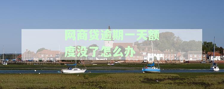 网商贷逾期一天还款后，额度恢复时间及影响因素全解析