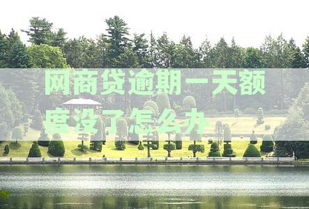 网商贷逾期一天额度没了怎么办