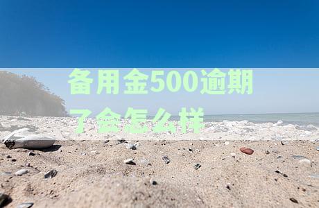 备用金逾期未还500元：可能的后果与解决方法全面解析