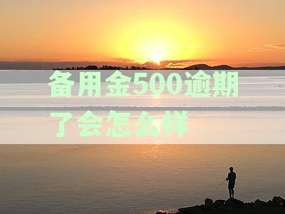 支付宝备用金逾期一天将产生多少利息？