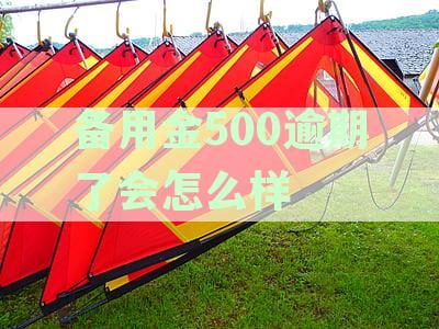 支付宝备用金逾期两天的罚款及相关利息解读