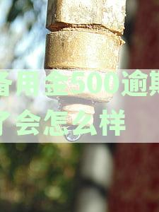 备用金500逾期了会怎么样