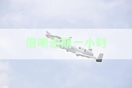 借呗逾期一小时后第二天，逾期记录的消除及其对征信的影响