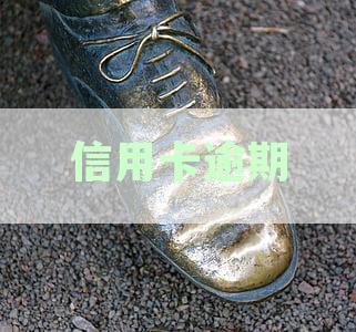 信用卡逾期问题全解析：如何预防、应对及解决逾期影响