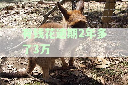 有钱花逾期2年多了3万