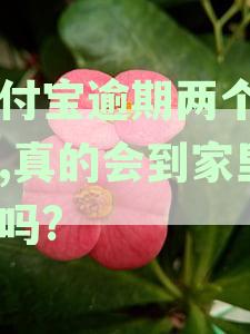 支付宝逾期两个月的心路历程：我的真实经历与解决之道