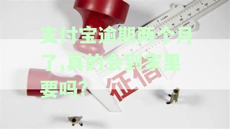 支付宝逾期俩月：后果、起诉、上门核实、贷款买车影响及解决办法