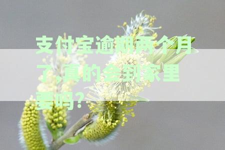 支付宝逾期两个月了,真的会到家里要吗?