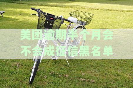 美团借款逾期半个月可能面临的处理方式与后果分析