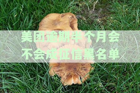 美团逾期半个月后的后果及可能的通讯录泄露：用户需了解的全方位信息