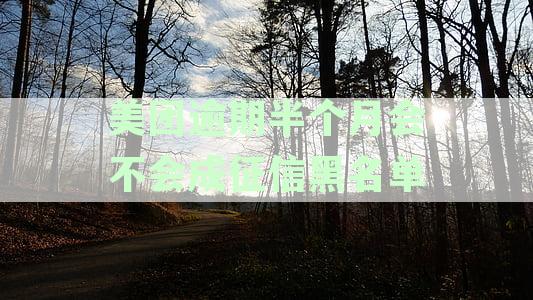 美团逾期多久会上报征信：解答你的疑惑与关注