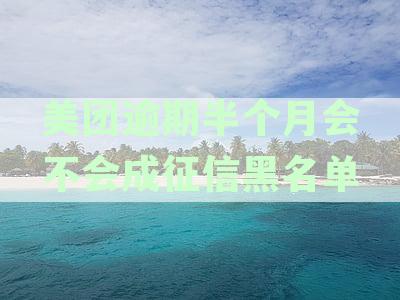美团逾期半个月会不会成征信黑名单