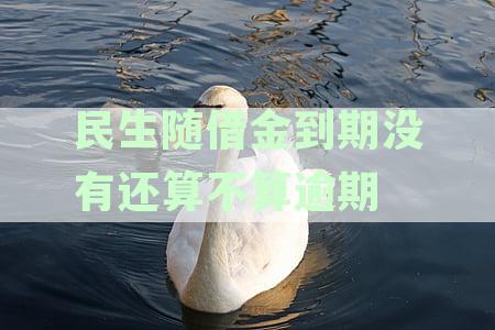 民生随借金到期未还款是否会产生逾期利息？如何处理？