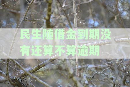 民生随借金到期还款地及逾期处理方式