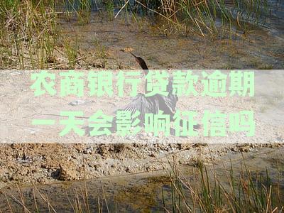农商行贷款逾期一天：信用征信一周警示，对未来信贷产生何种影响？