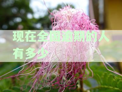 全国负债逾期人数统计分析
