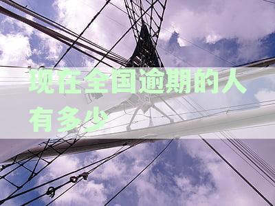 中国逾期人数统计：全面分析逾期原因、地区分布与影响