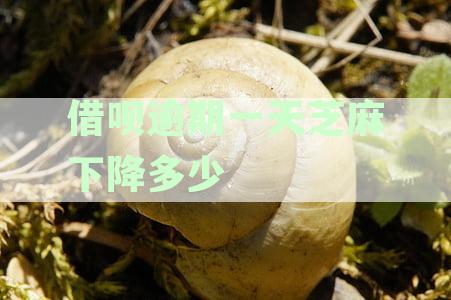 蚂蚁借呗逾期一天：额度降低的影响与解决策略