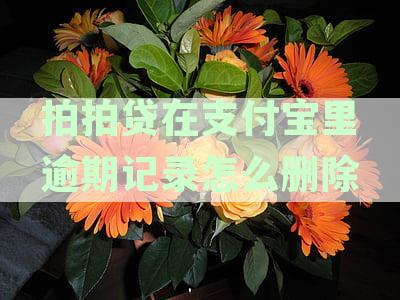 支付宝中拍拍贷逾期记录难以消除的解决方法