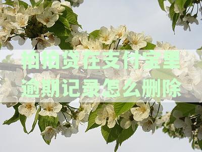 如何删除拍拍贷在支付宝中的逾期记录？