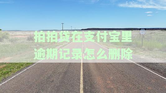 拍拍贷在支付宝中的贷款记录消除时间及影响因素全面解析
