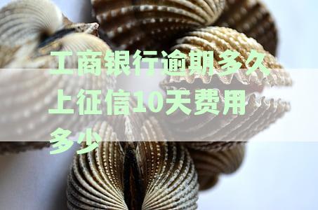 工商逾期记录对个人征信的影响及相关处理方法全面解析